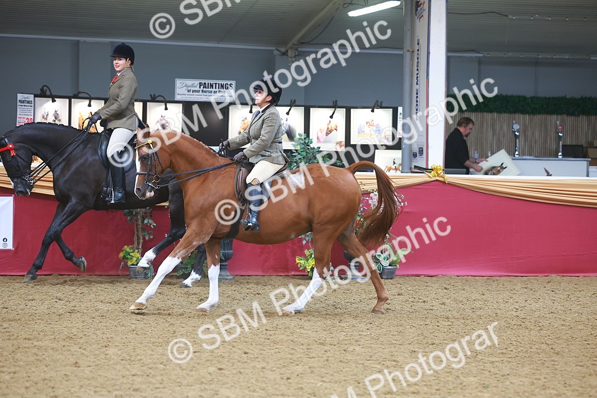 SBM_10568 - Class 103 - HOYS Veteran Qualifier - Ridden Pre Vet
