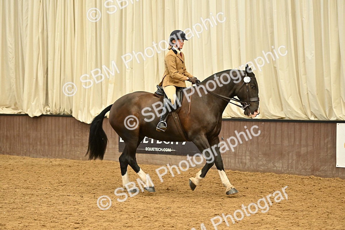 SBM_002019 - Class 21 - BSHA Ridden Show Cob