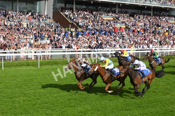 yr21052022r7-33 - Race 7: 5:15pm Reg Bond Always and Forever Stakes