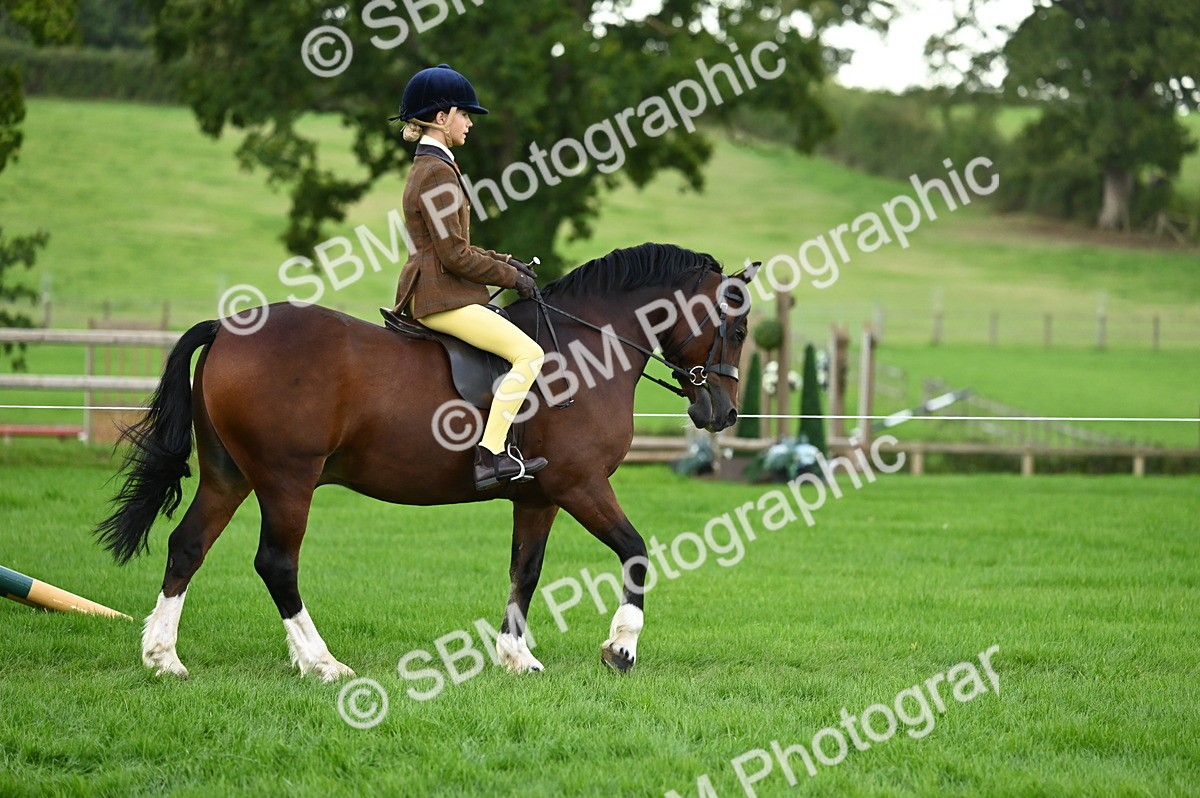 SBM_26545 - S7 - Novice & Newcomer Ridden Pony