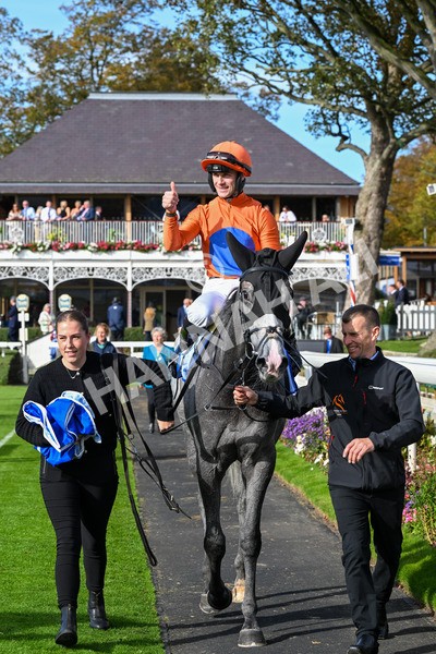 111025-Race 2-Grey Cuban-0299 - Race 2 Coral 'Pipped At The Post' Handicap at York