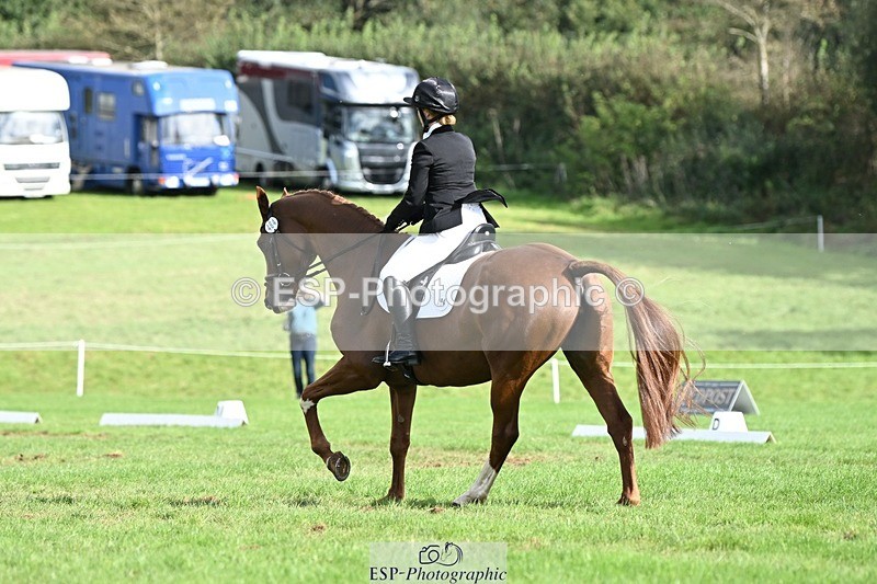 231020-121056-08020 - 484-JESATRAN.FIRECRACKER-Sally.Morton-DR