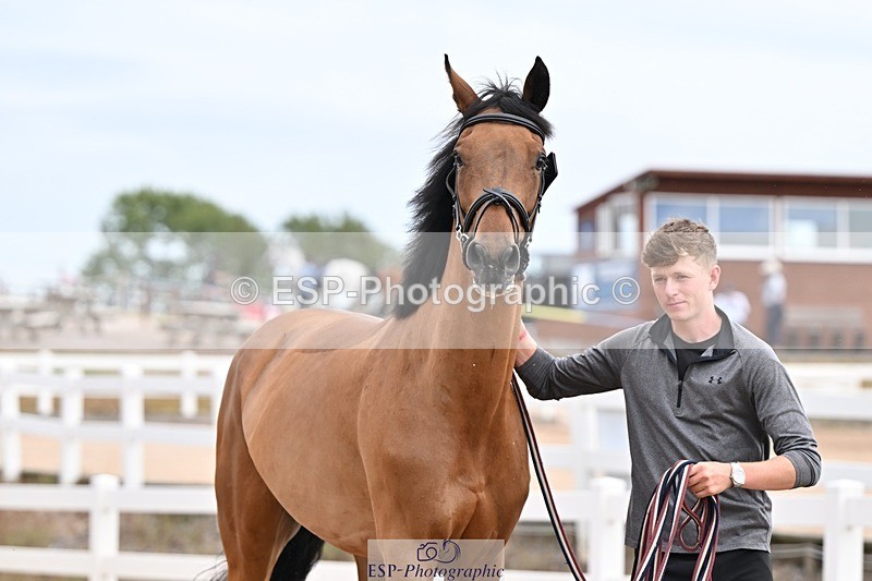 250716-151610-01835 - Trot Up 2.30 to 3.30