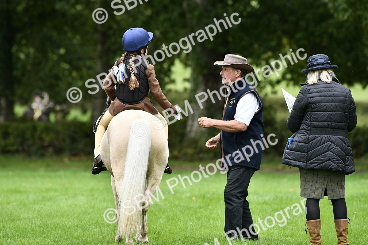 SBM_35466 - S30 - Nursery Stakes Working Hunter Pony