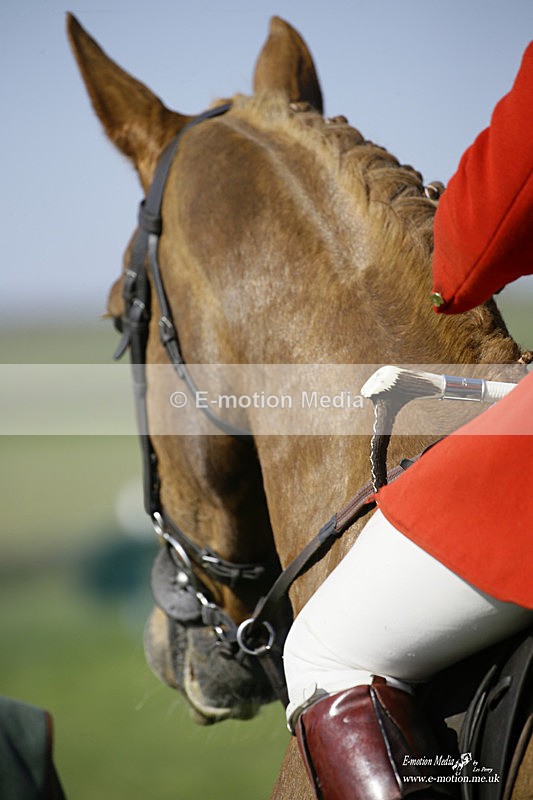 PtP 190322 422 - Wilton Hunt PtP Milborne St Andrew 19/03/22