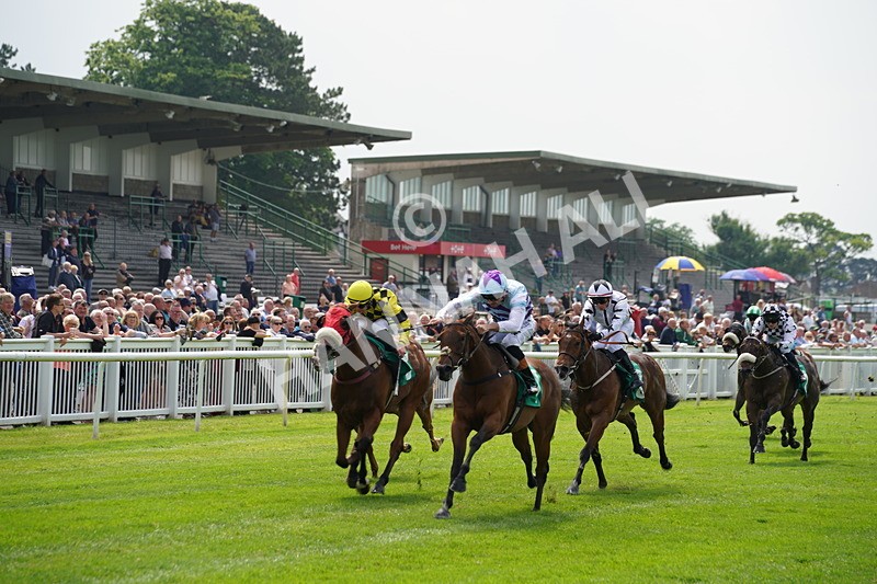 160626-Race 2-Dragon Spin-3 - Race 2 14.50pm PD Hook Gallop Handicap