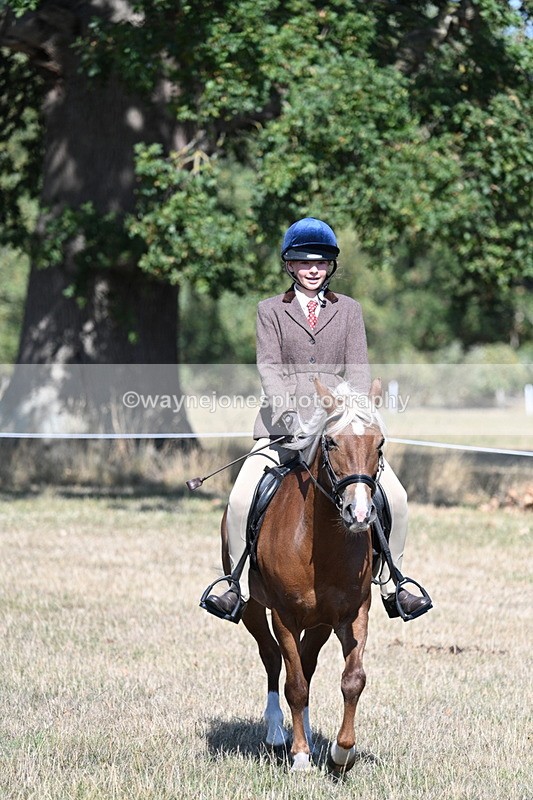 WJ7_3994 - Class 9 Mountain & Moorland Ridden