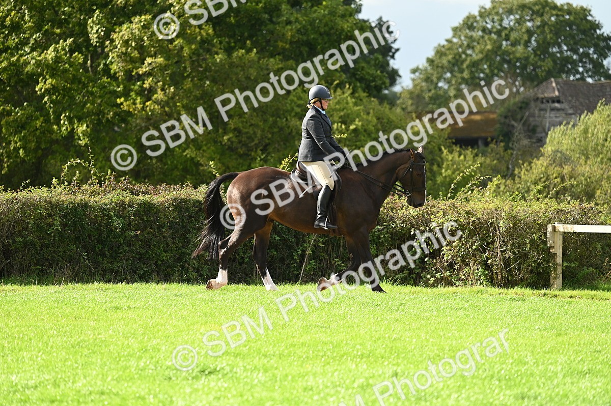 SBM_26304 - S6 - Novice & newcomer Ridden horse