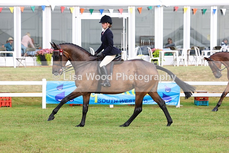 3E7A8066 - Class 2: Rising Star Large Hack/Riding Horse