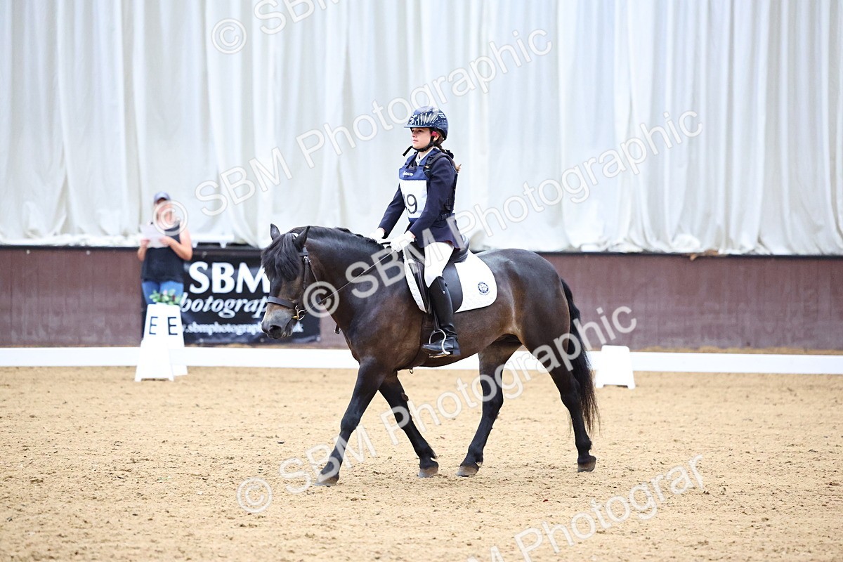 SBM_003406 - Intro 2