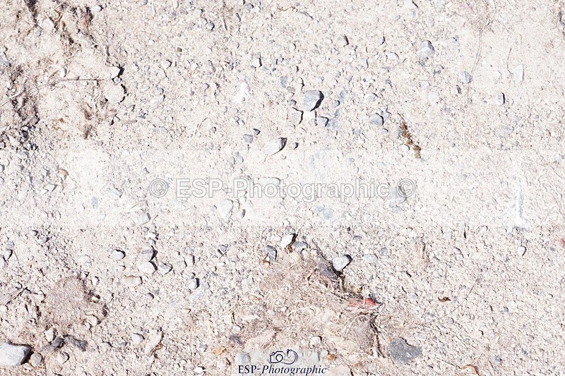 250503-141004-01550 - Cls 28 Springboard