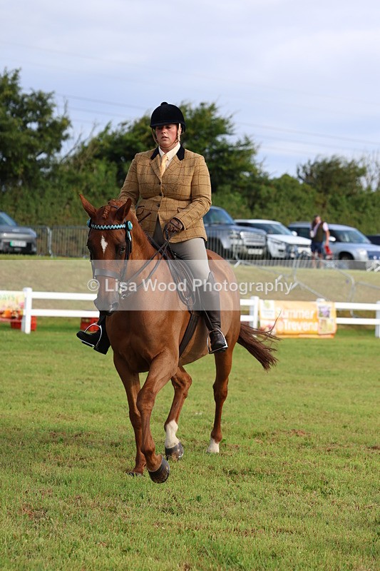 3E7A8230 - Class 2: Rising Star Large Hack/Riding Horse