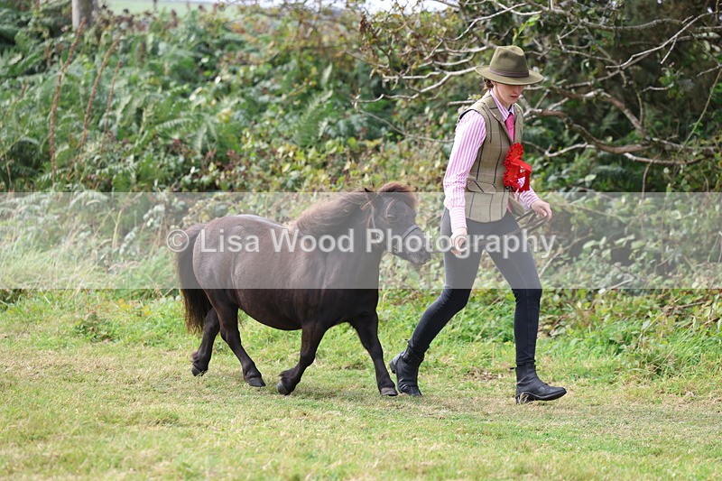 3E7A5654 - In Hand Championship