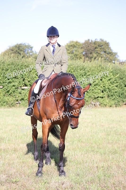 20260906-0404 - Class 14 - Ex Racehorse
