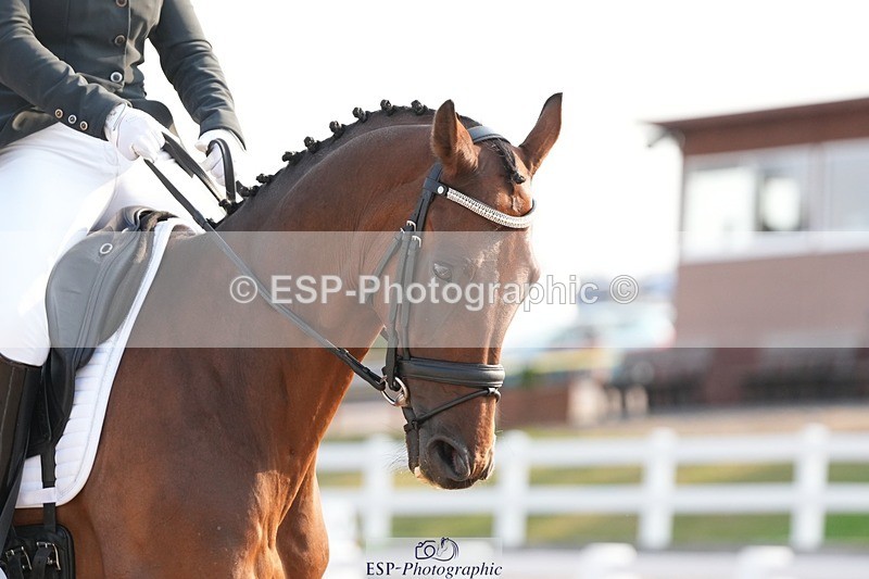 250817-084817-07030 - 160-Danielle.ThackrayRomanno.Maydream