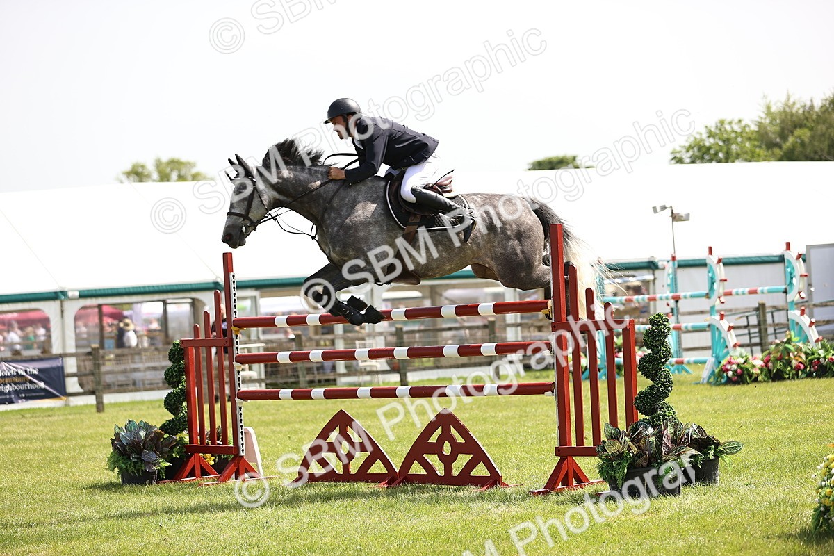 SBM_03942 - Class 201 - British Horse Feedds Speedi Beet HOYS Grade C