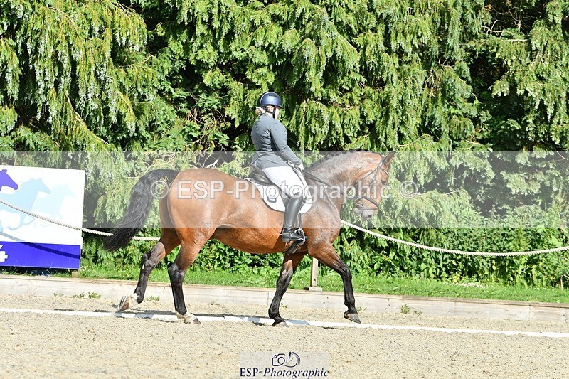 230623-172131-01509 - Cls 8 Medium 73Q