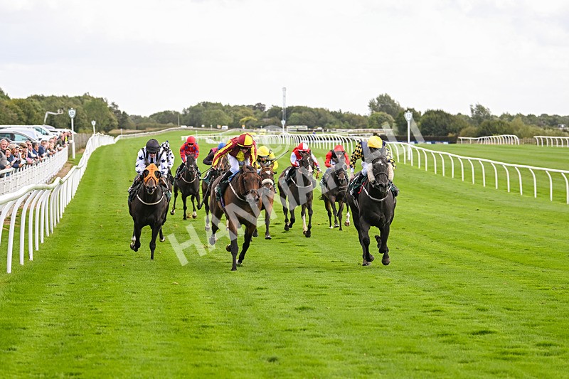 100924-Race 2-Keldeo-0010 - Race 2