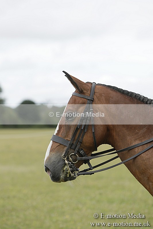 BVR160717-2446 - Side Saddle Classes 16/07/17