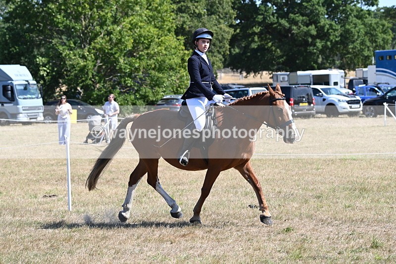 WJ6_8343 - Class 37a Best Loan Pony Ridden