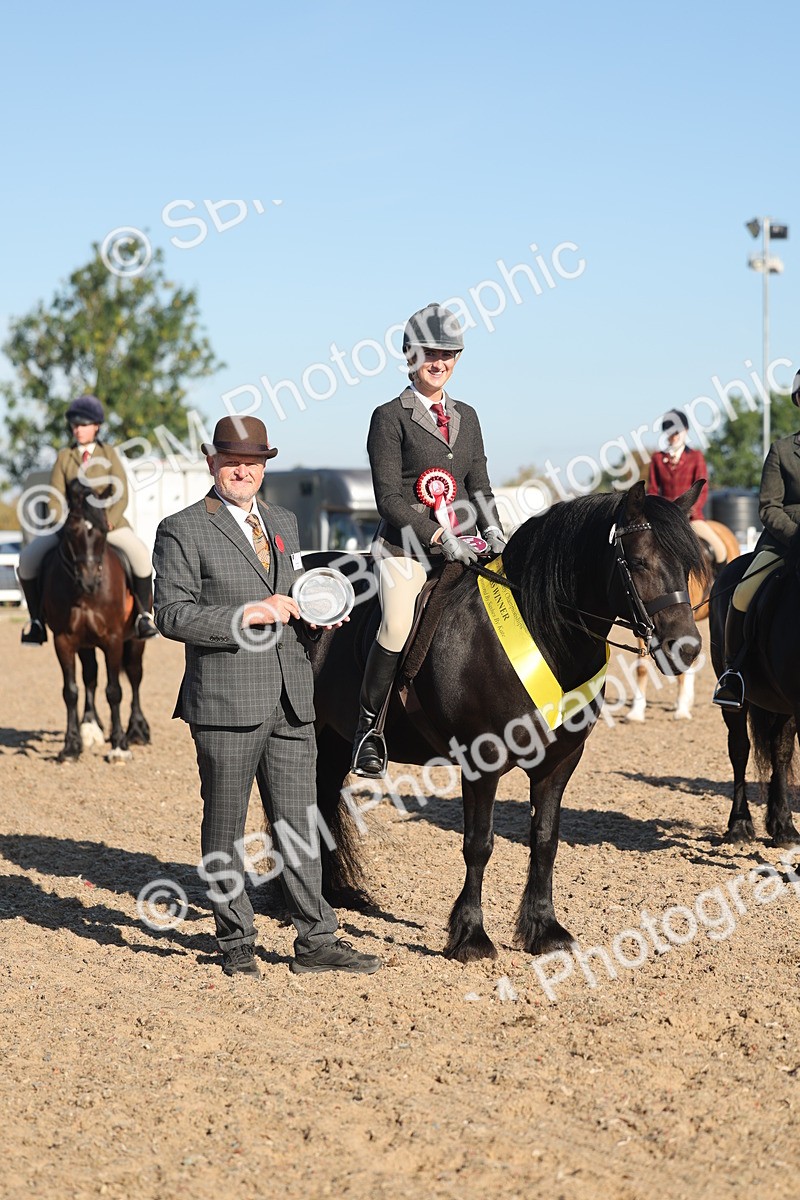 SBM_11101 - Class 302 - Ridden M&M Large Breeds