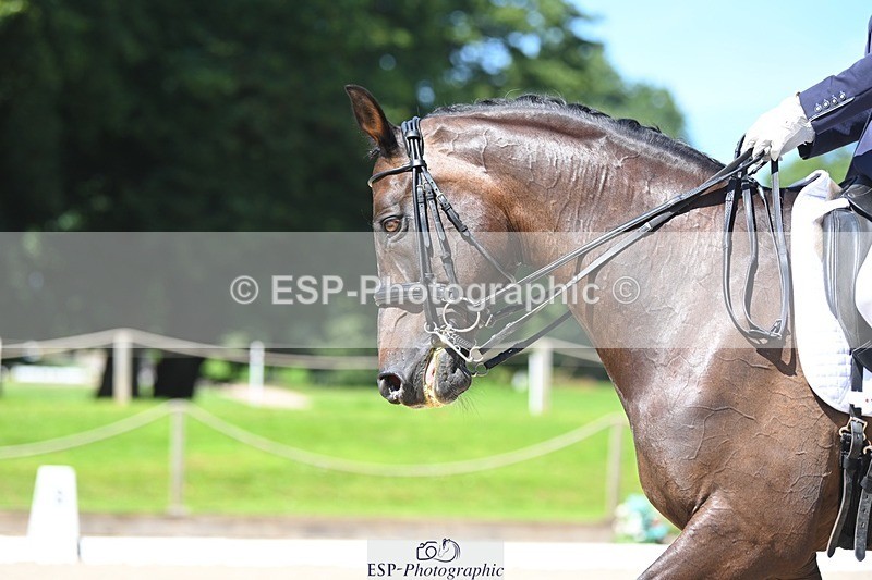 230811-120049-01144 - Cls 4 Adv Medium Silver