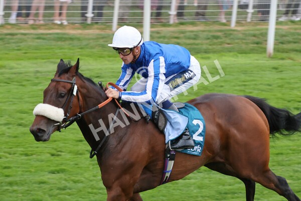 yr22072022r7-31 - Race 7 8.25pm The Sky Bet Go-Racing-In-Yorkshire Summer Festival Stakes