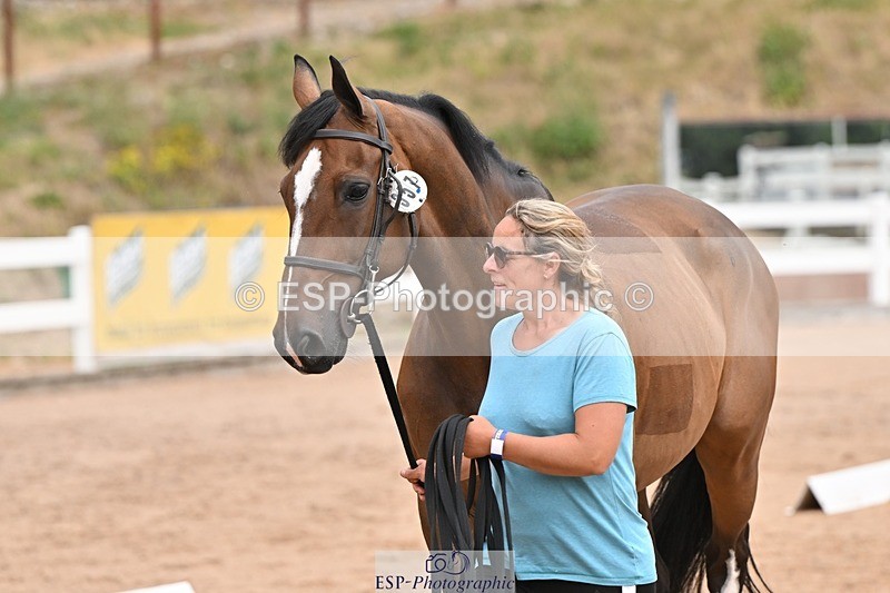 250716-144122-01308 - Trot Up 2.30 to 3.30