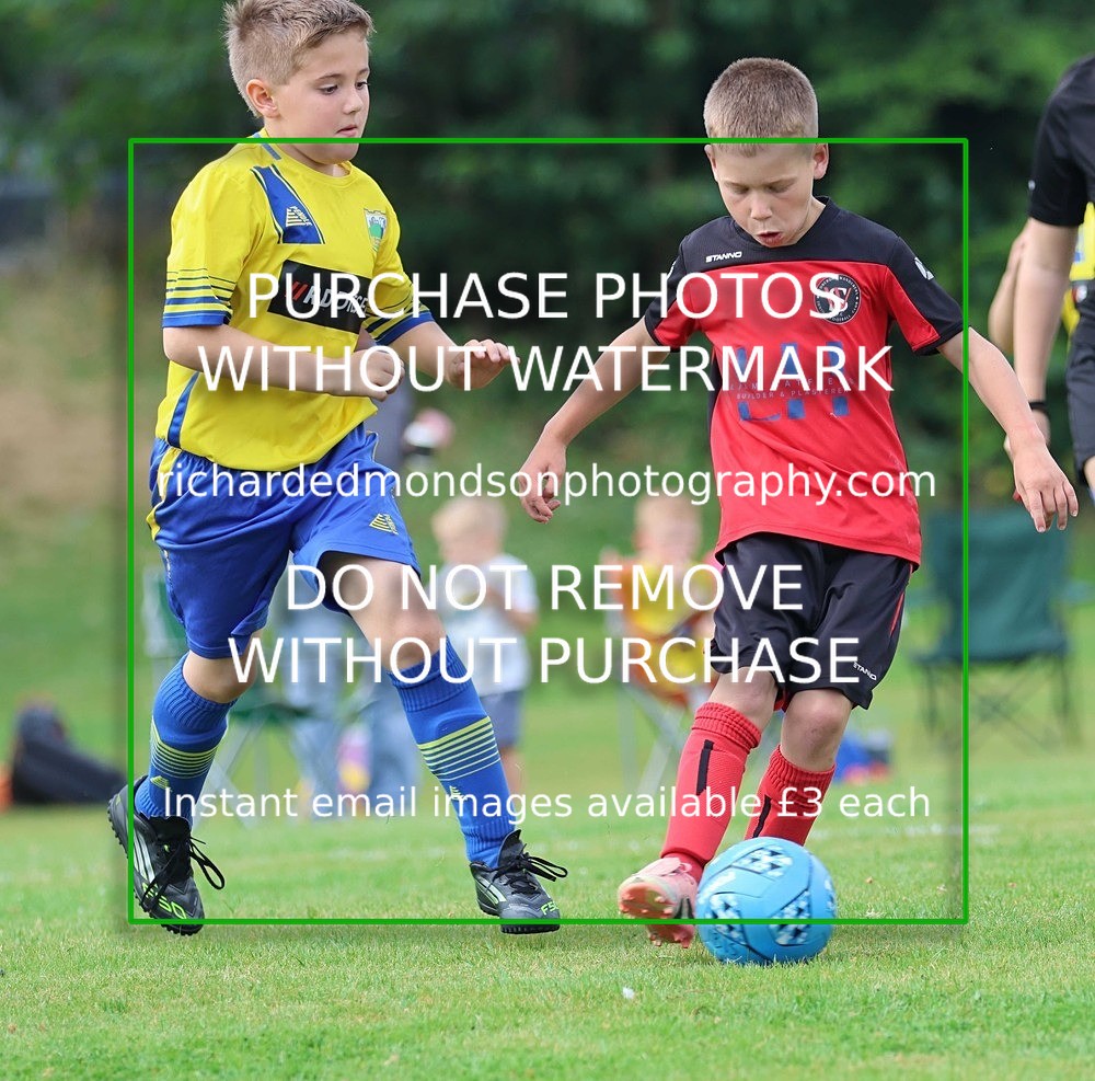 533A3004 - Sedbergh Wanderers (morning Ibis)