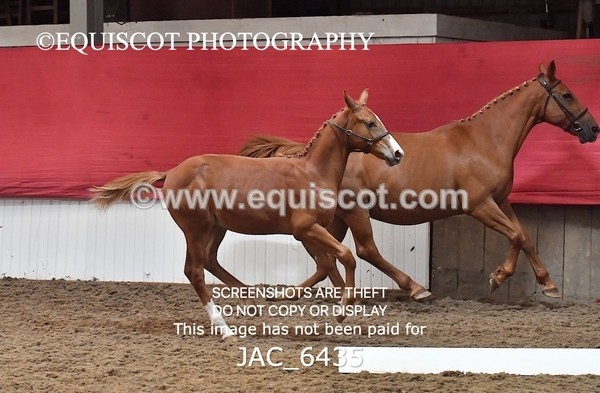 JAC_6435 - 19 Luca