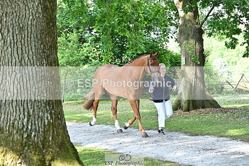 250521A-164855-01347 - C-263-Gini.Hope-PETER.PAN