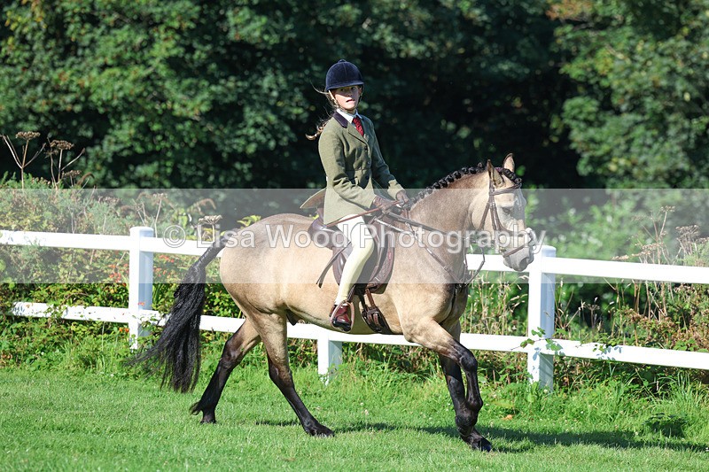 3E7A7839 - Class 2: Open Working Hunter pony