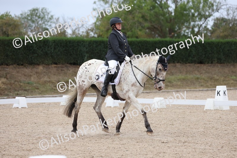 20250820-0275 - Class 9 - My Quest Prelim 3