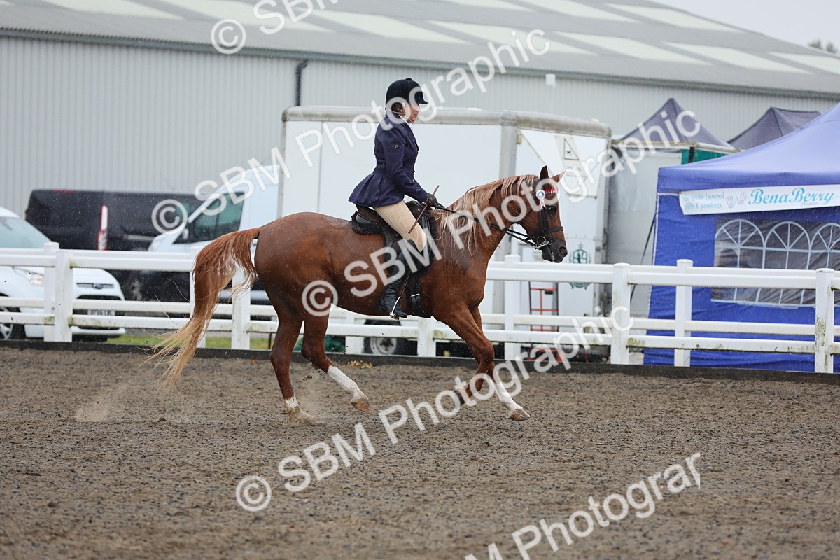 SBM_20364 - Class 803 - Ridden Combination 65+