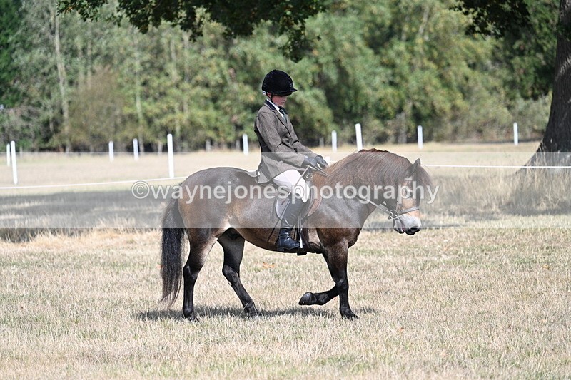 WJ7_2661 - Class 8 Ridden Tack & Turnout