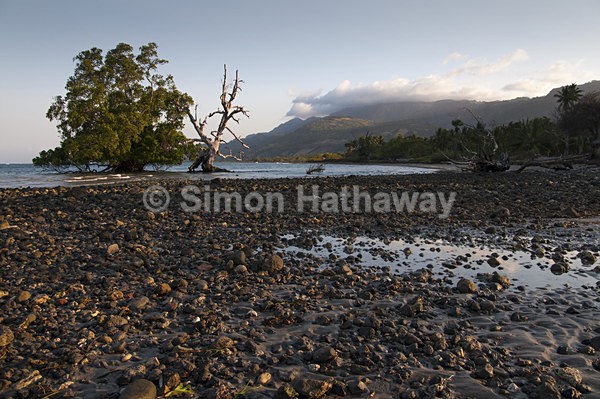  - East Timor