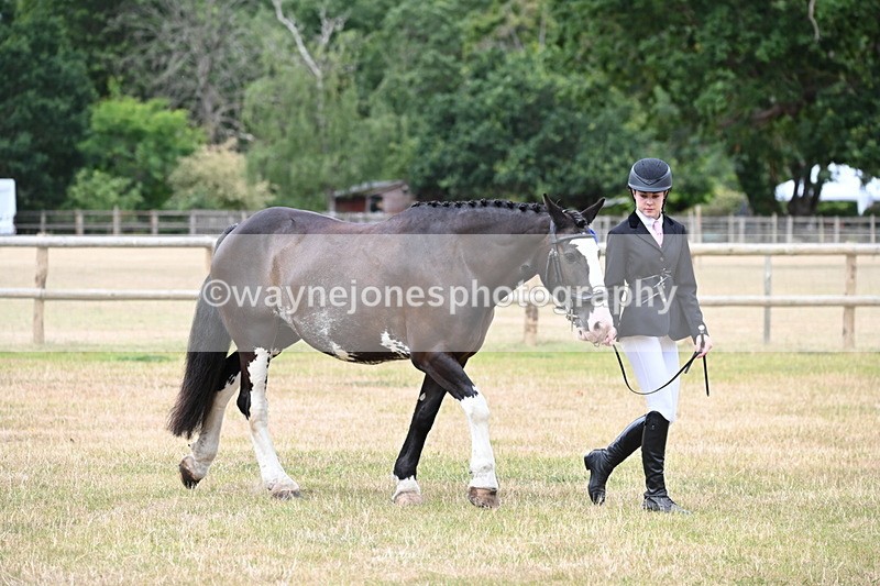 WJ6_4546 - Class 10 Coloured In-hand