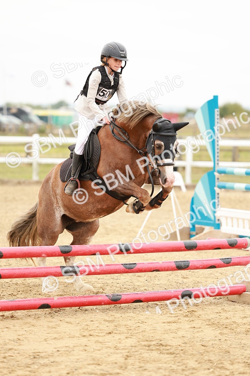 SBM_007535 - Class 3 - 60cm