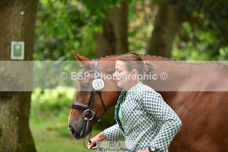 240522-172758-01629 - 289-JUST_A_JOLLY-Flora_Harris