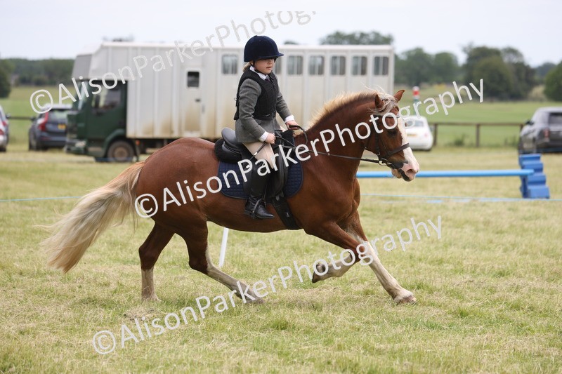 20260614-3098 - Class 22 - Open Working Hunter