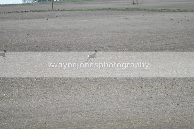 WJ7_7960 - Line 2 A camera