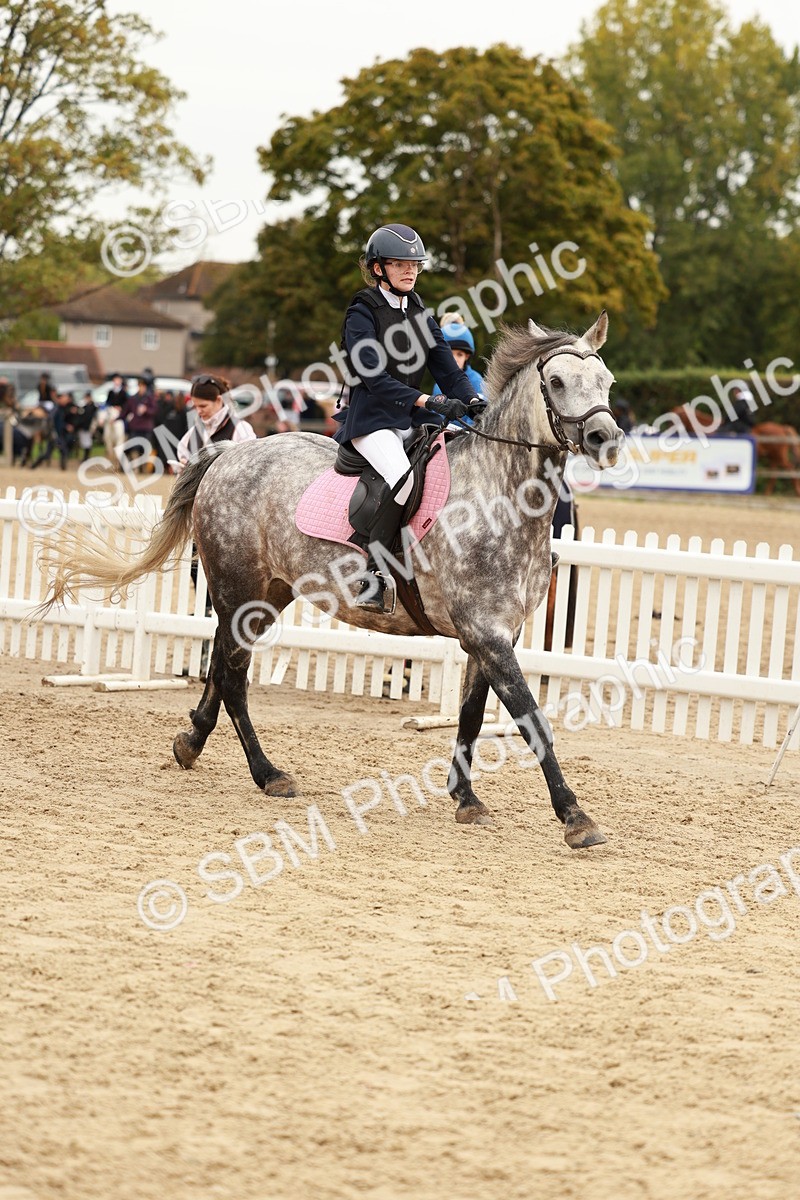 SBM_57998 - J11 - Junior Pony 50cm Championship