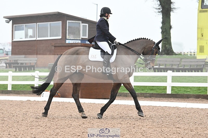 240217A-145031-03721 - 252-Kathryn.Little-Quietly.Does.It