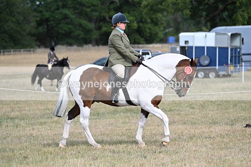 WJ7_7571 - Ridden Championship