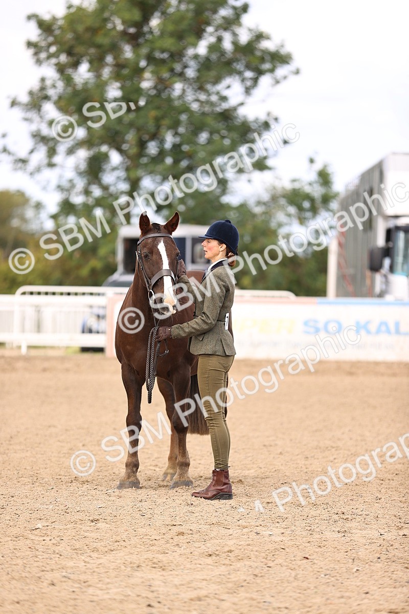 SBM_10392 - Class 405 - IH Show Cob