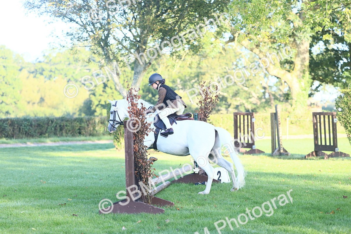 SBM_31951 - S28 - Nursery Stakes Working Hunter Pony
