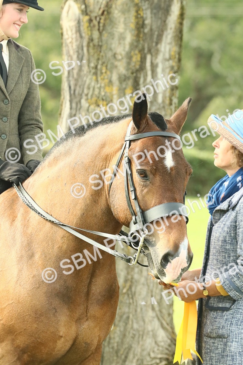 SBM_69389 - S58 - Mini Show Cob Ridden