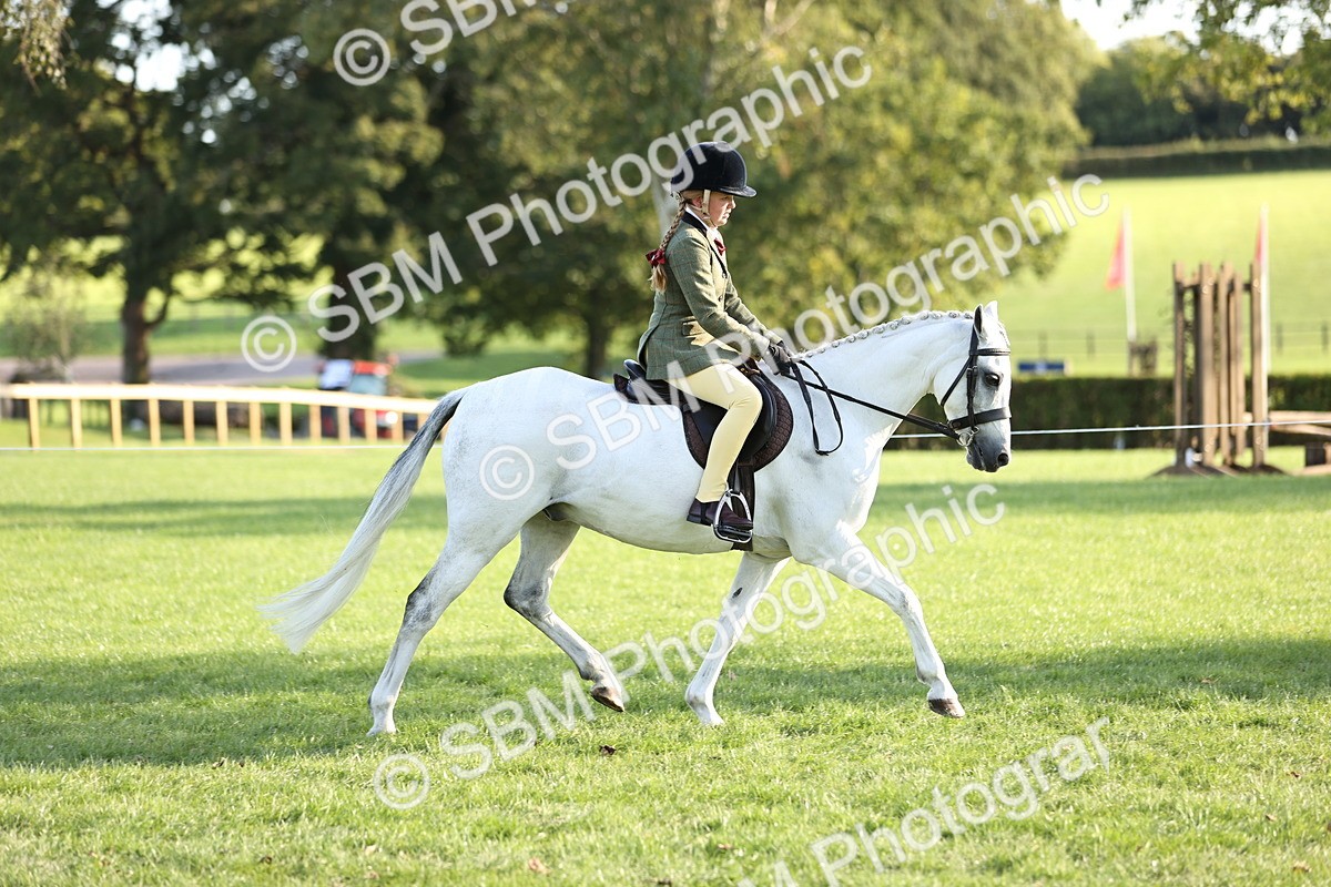 SBM_29464 - S7 - Novice & Newcomers Ridden Pony