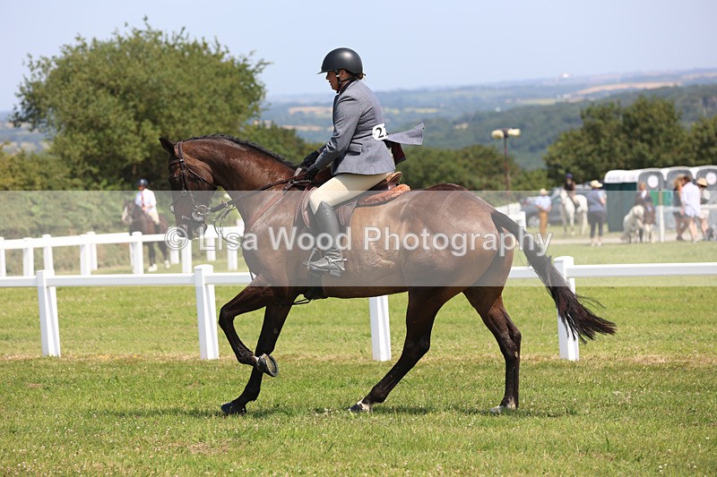 JPP_3260 - Class 22: Working Hunter 70cm
