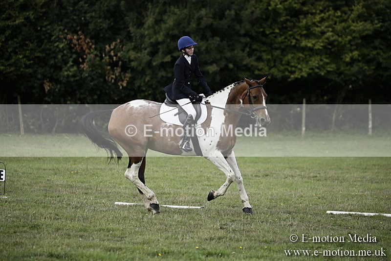 BVR090918 204 - BVRC Dressage and Show Jumping 09/09/18